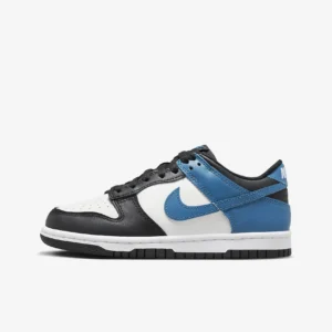 Nike Dunk Low Big Kids' Shoes